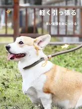 犬用リード【防爆設計・大中小型犬対応・脱走防止・金髪犬用カラー付き】
