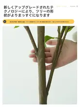 バイオミミクリ 植物 装飾オーナメント インドア ラグジュアリー 材料