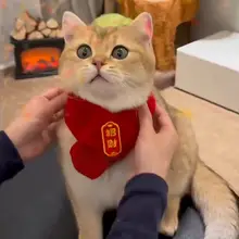 暖かい中国風ペット用赤いスカーフ【猫・犬用・新年飾り】