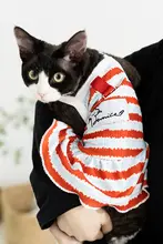 hipidog 猫用ウェア 帽子付き 薄手 抜け毛対策 春夏 ラグドール スフィンクス デボンレックス ペットウェア