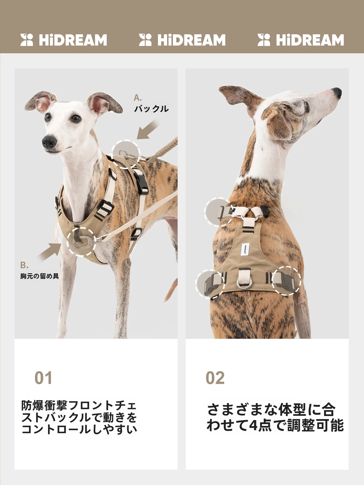 犬のお散歩グッズをコスパ良く揃える方法｜胸部サポートハーネスで散歩の質を徹底解説