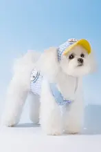 hipidog 小型犬用ハーネス型リード【犬の散歩に最適】