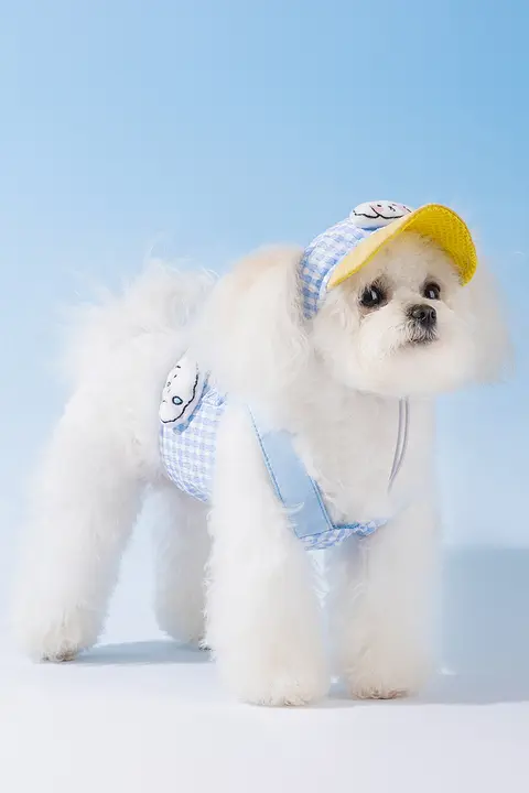 hipidog 小型犬用ハーネス型リード【犬の散歩に最適】
