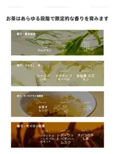 三色魚デザインのハンドケアセット【軽やかで極上の柔らかさ・スクラブ・マッサージオイル・角質除去クリーム付き】（セットアップ対応）