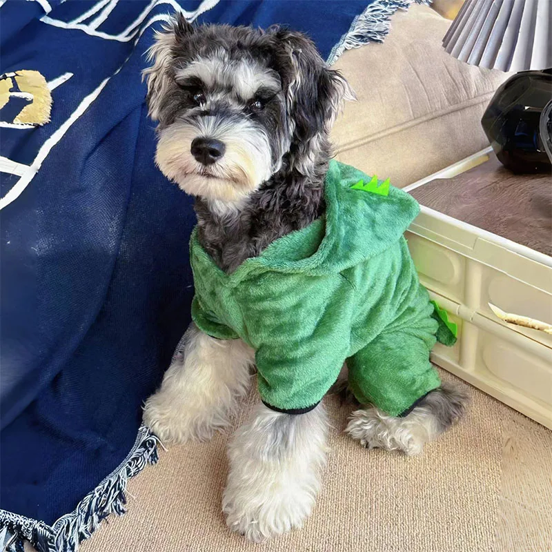 ハロウィンの犬服で迷うなら、この恐竜デザインが今最適なの？