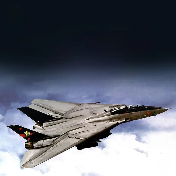 F14Bトムキャット戦闘機モデル【スケールモデル・極細ディテール】