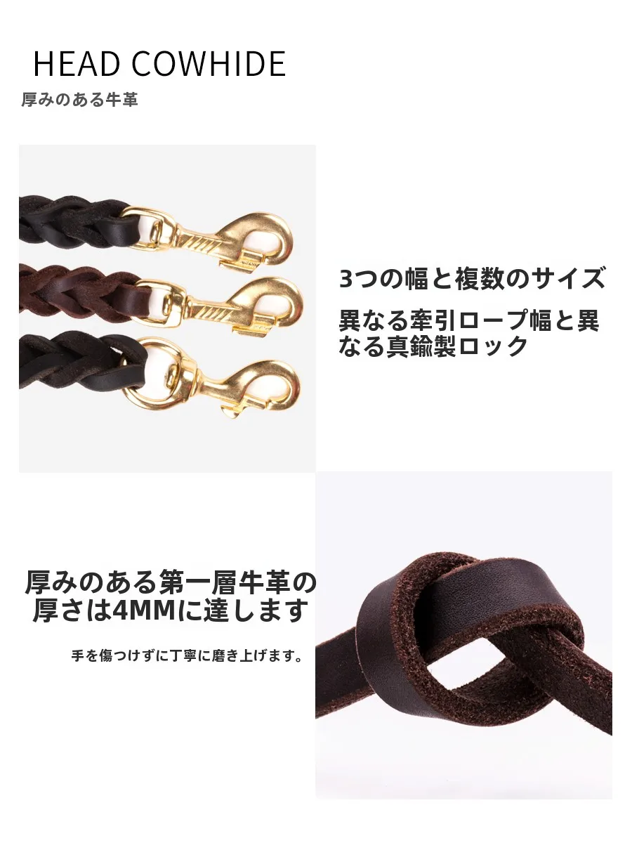 犬のお散歩グッズをコスパ良く揃える方法 - 本革製中型犬用リードの実用性と選定基準