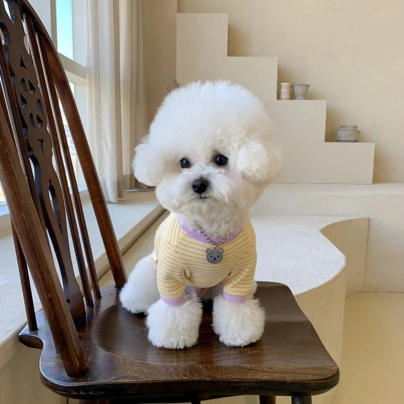 犬の夏用洋服 小型犬向け 薄手快適素材で通気性を重視