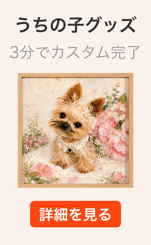 今だけ! 最大50％OFF! |ファッション、家庭用品、キッチン用品
