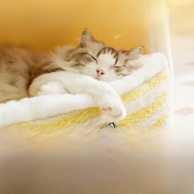 一人暮らしの冬にぴったりな猫のぬくもりを届ける、冬用猫ベッドはどれがおすすめ？