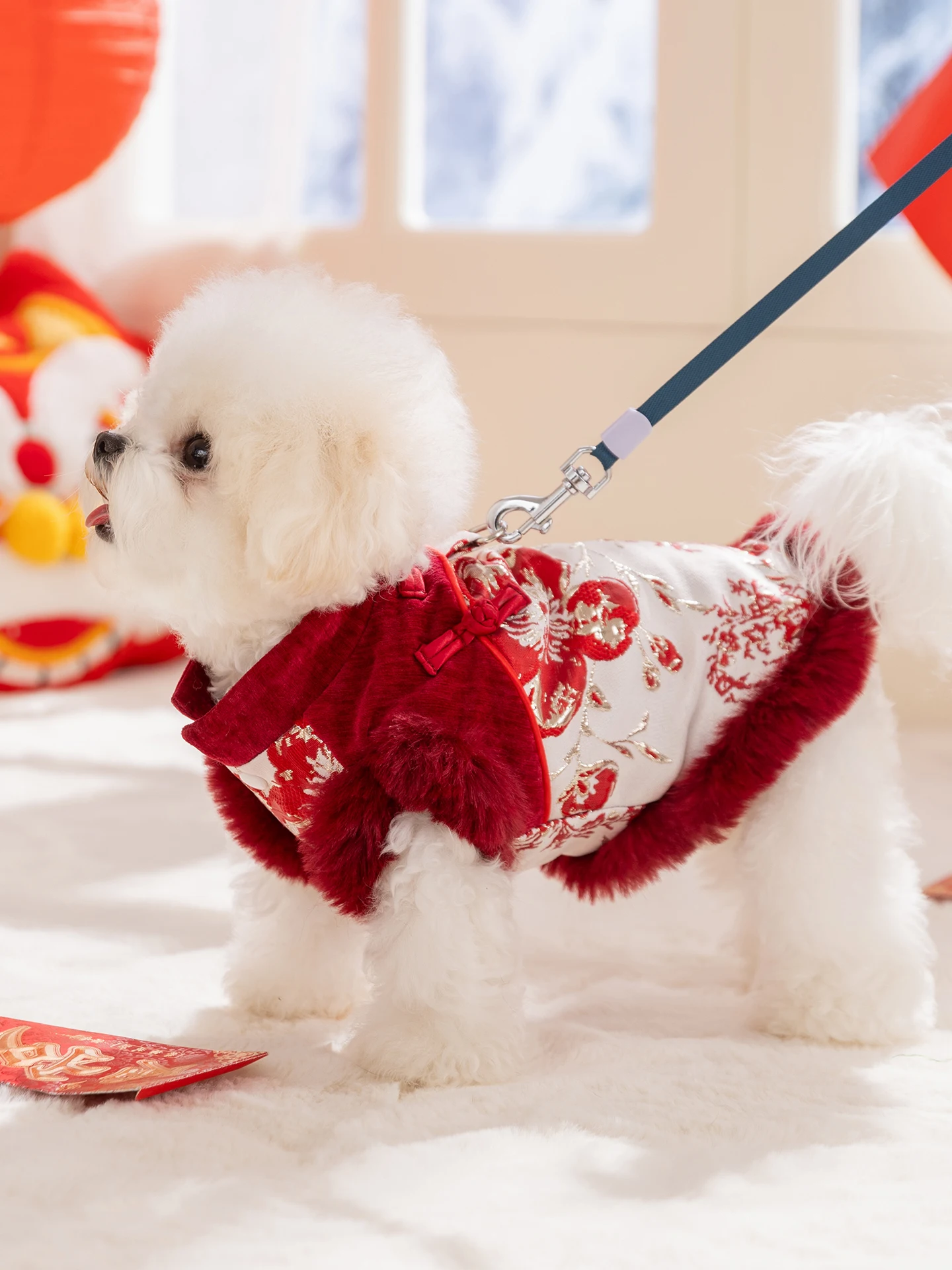 hipidog ペット用唐装ベスト：チワワにぴったりの冬用保暖服の実用性と選定基準