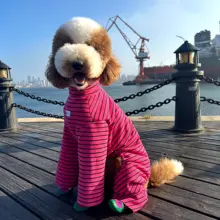 冬用犬用ブーツ【加毛・大型犬対応・防汚機能】（セットアップ対応）