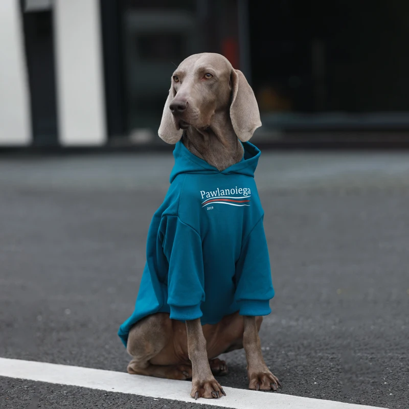 大型犬用ペット服：秋冬対応の保温スウェットシャツ選び方