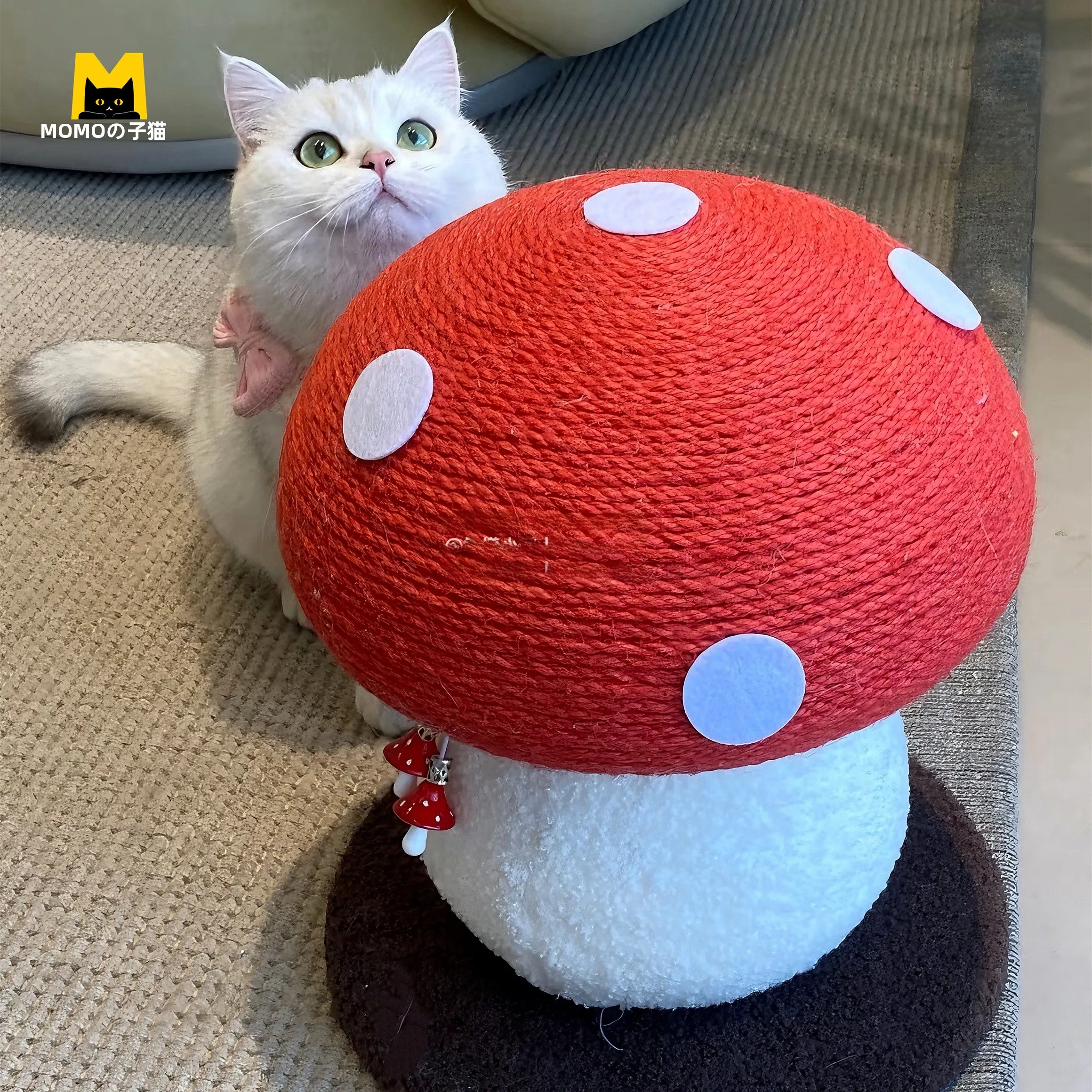 猫飼いが買ってよかったもの・悪かったもの正直に言う｜立体マッシュルーム型爪とぎの選び方徹底解説