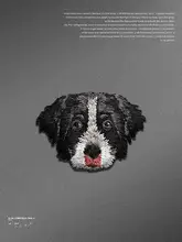 犬の頭の布パッチ【動物刺繍・リペア用・自己粘着タイプ】