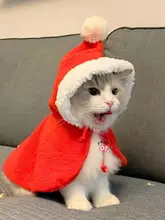 ペットのクリスマス服、猫と犬に共通の新年のマント