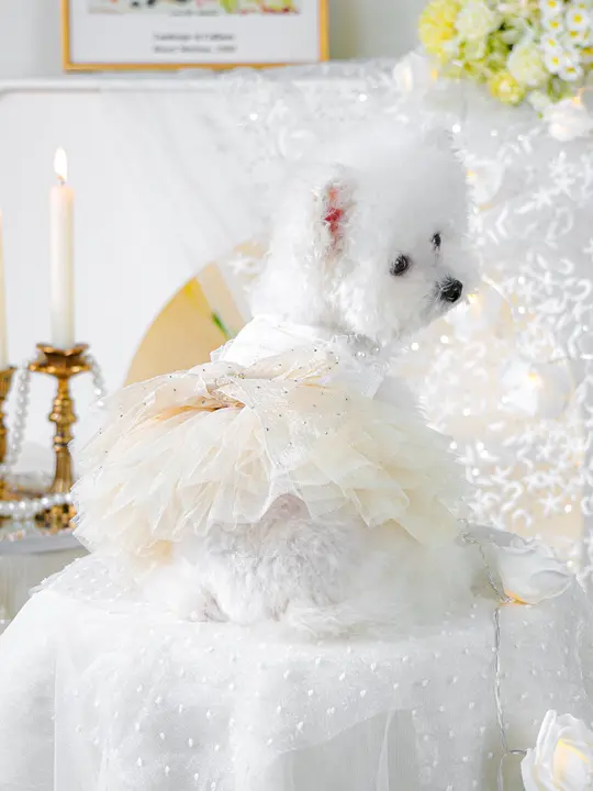 ペット用公主スカート【小型犬・薄手・かわいいデザイン】