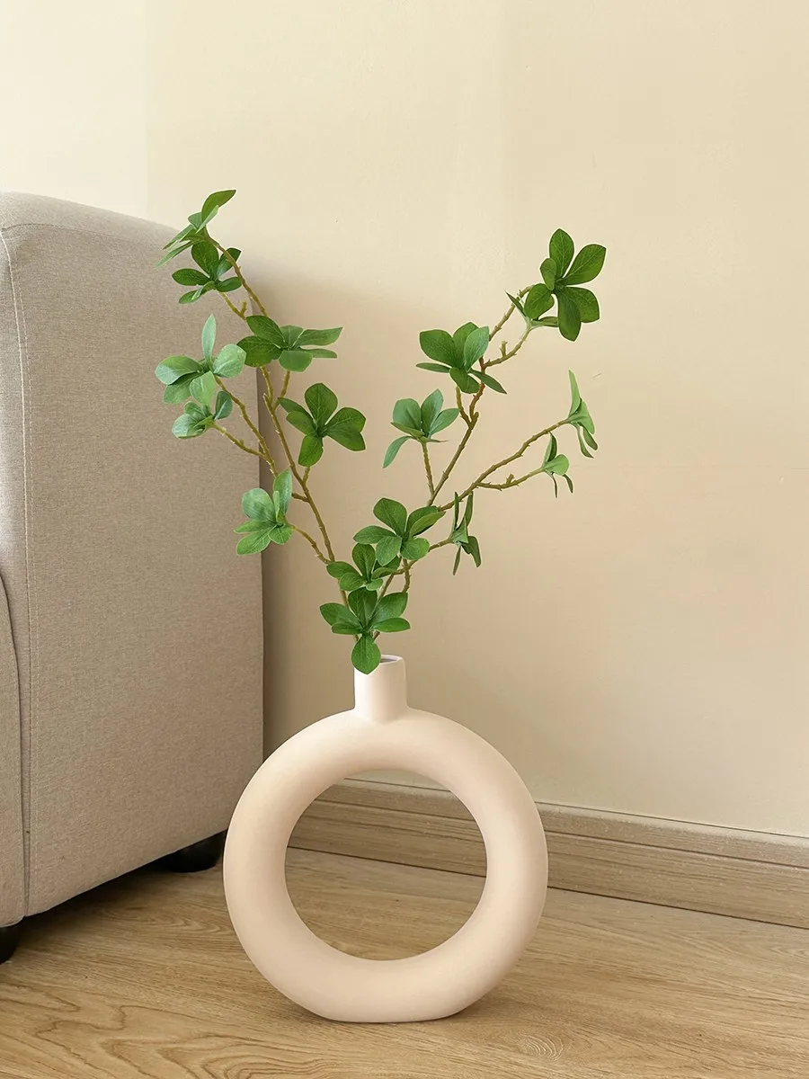 インテリアグッズ比較レビュー：観葉植物吊るし鉢陶器の定義と比較ポイント