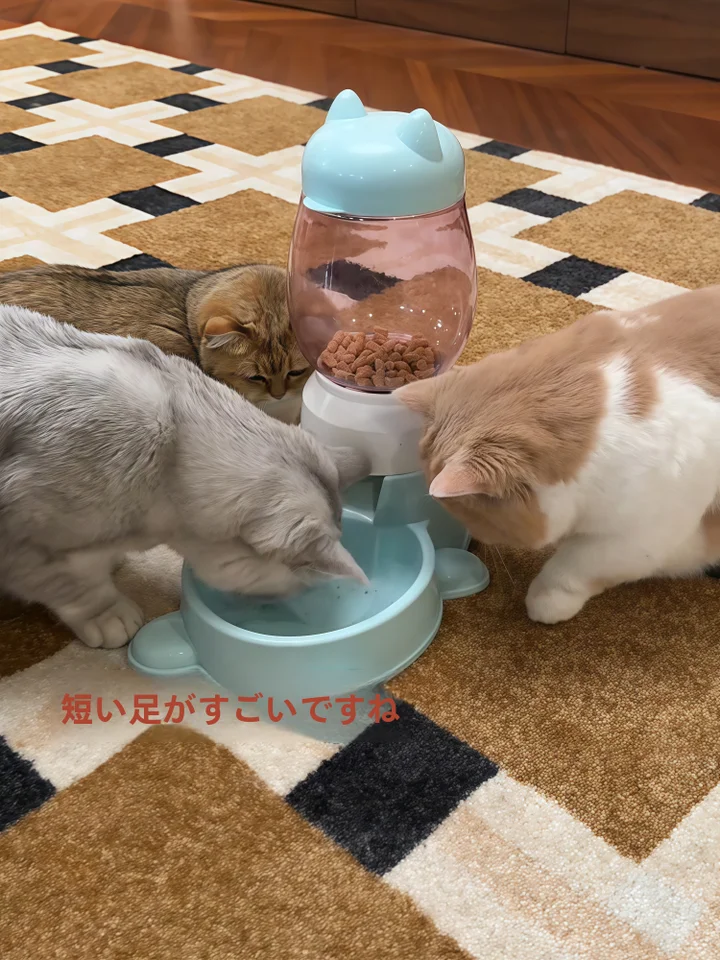 猫用自動給餌器【フードと水の二重皿・ペット用品】