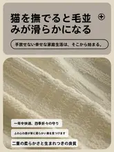 秋冬向け 高級感ソファカバー【防猫爪・モダンデザイン・極簡スタイル】