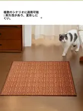 モダンシンプル防滑玄関マット【高級デザイン・日焼け跡付き・家用】