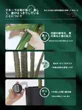 フェイクプラント 室内用 リビング グリーン プレステージスタイル