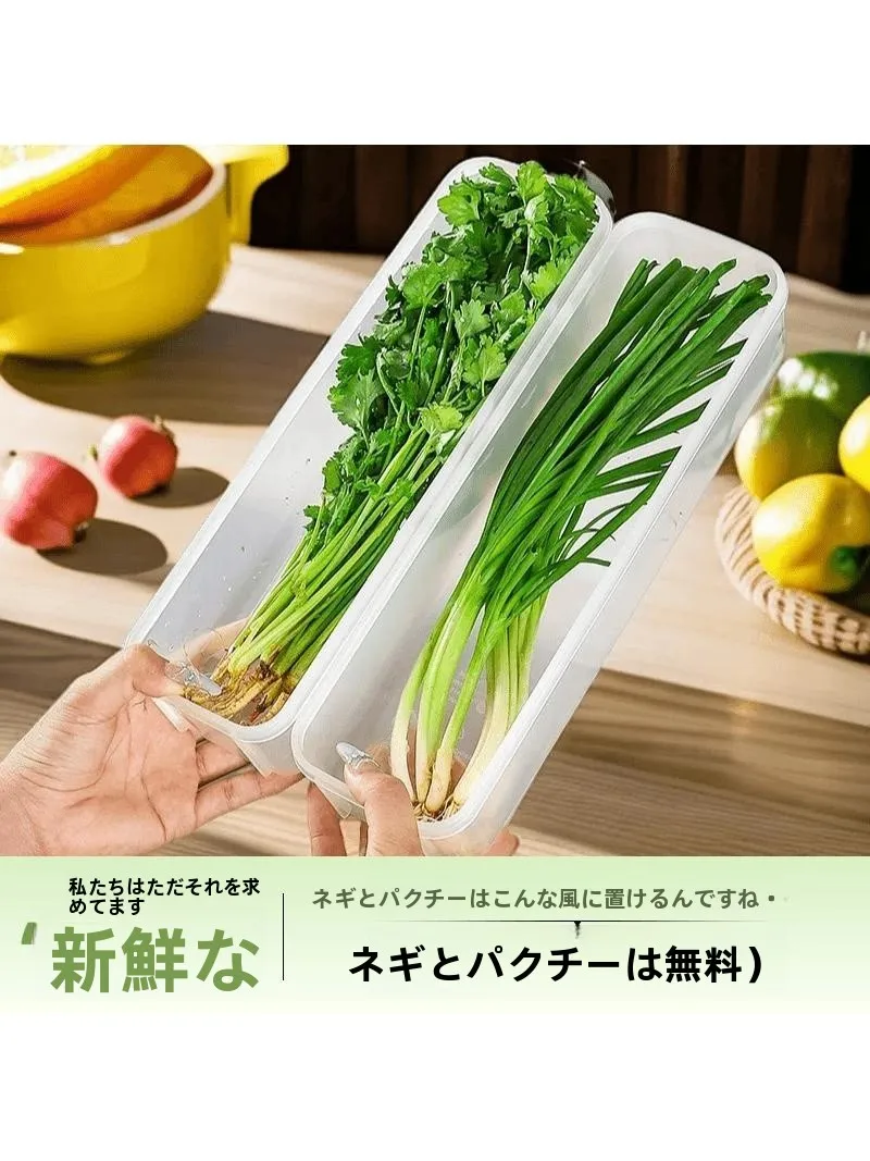 野菜保存容器の選び方を徹底解説！3選で冷蔵庫のデッドスペースを解決する実践ノウハウ