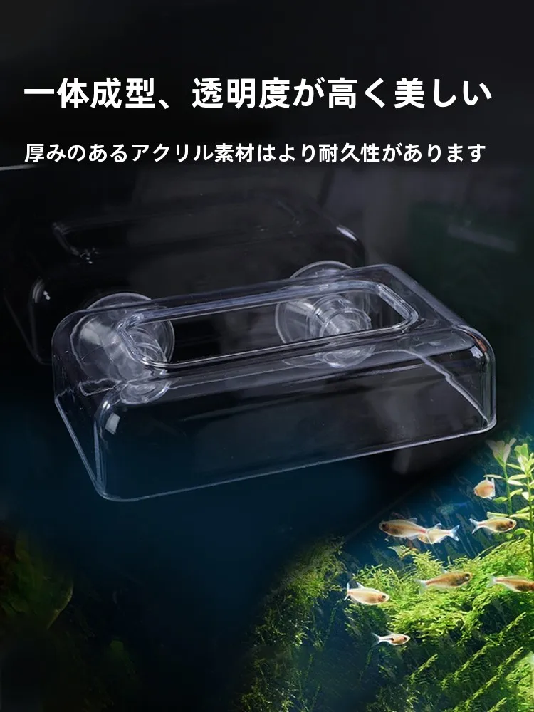メダカ稚魚飼育用給餌ボックスの選び方：浮き防止設計が水質維持に貢献