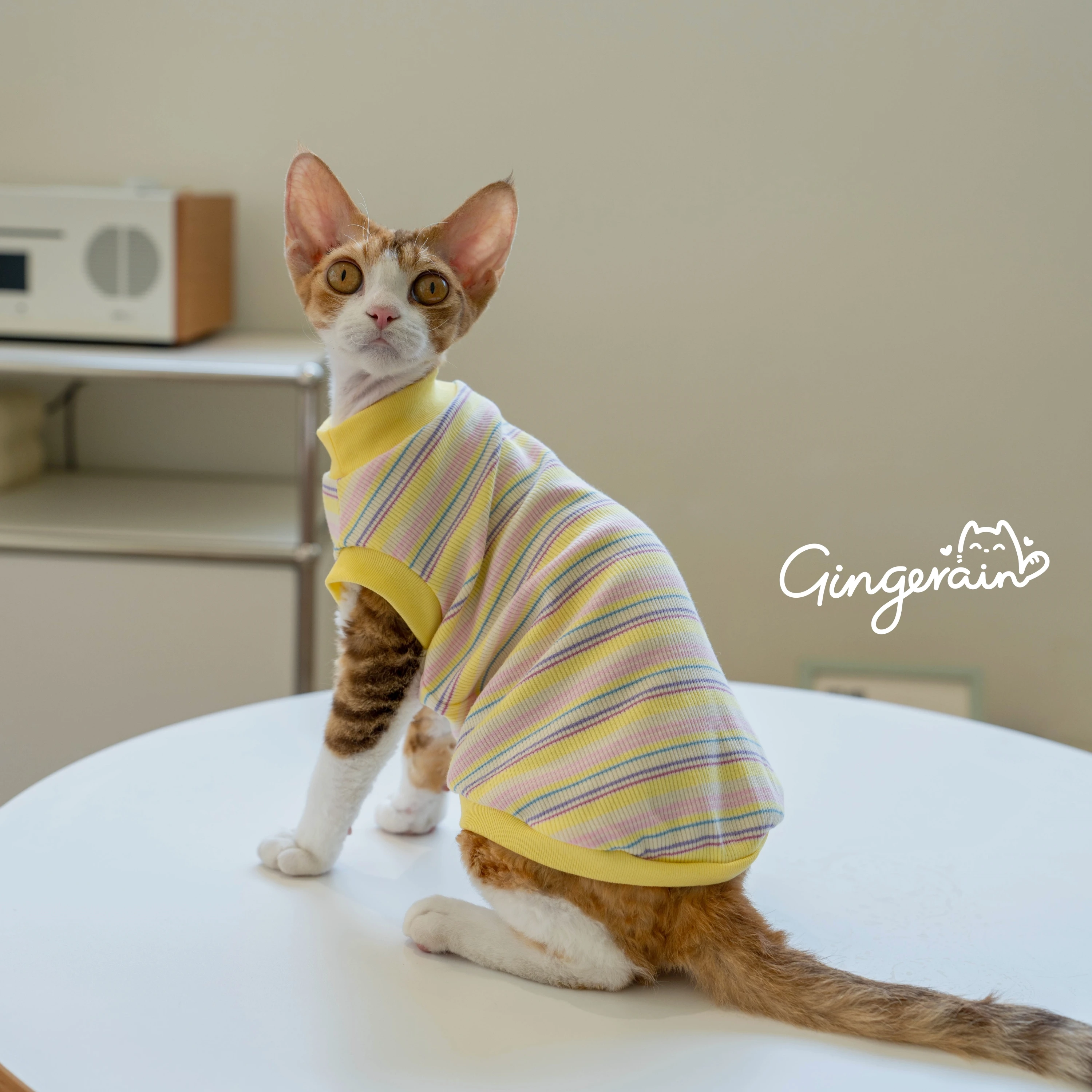 猫飼いが買ってよかったもの・悪かったもの正直に言う：冷感ストライプ猫用タンクトップの効果と特性
