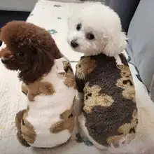 犬用冬用服【温かい・小型犬対応・リード付き】