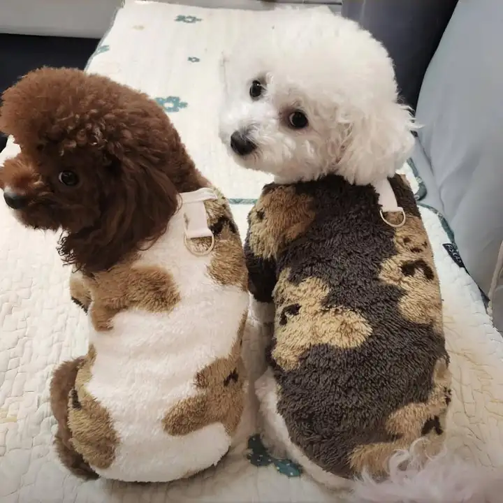 犬用冬用服【温かい・小型犬対応・リード付き】