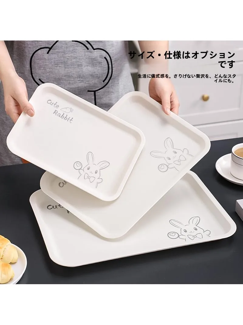 冷凍庫トレーの使い方とサイズガイド：キッチン用長方形プラスチックトレイの実用性解析