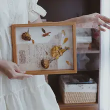 植物標本ディスプレイ DIY 手作りドライフラワーバッジ メダル ブラインドボックス 収納 木製 デコレーション フレーム