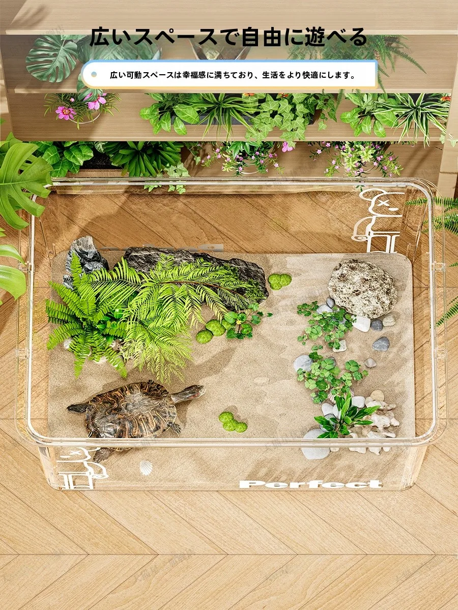 メダカ稚魚飼育に最適な小型アクリル水槽の選び方と実際の使い方
