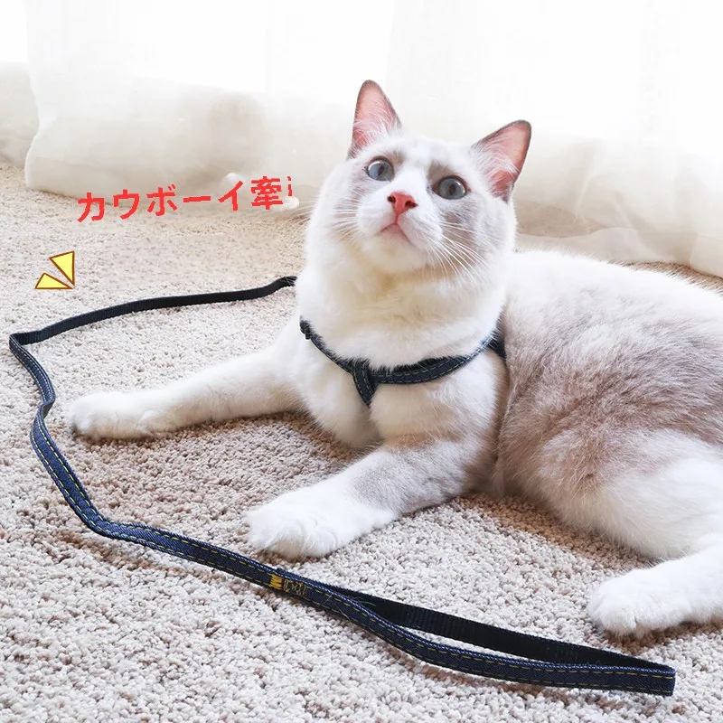 犬のお散歩グッズをコスパ良く揃える方法 - 反脱落設計とサイズ対応の技術的背景