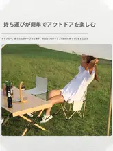 ポータブル高背折りたたみ椅子【アウトドア・美術写生・ビーチ・釣り・キャンプ用】