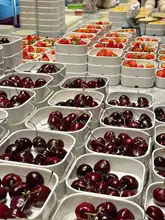 白色密胺製の四方ボックス【ホテル用・フルーツビュッフェ・海鮮用・小火鍋食器】