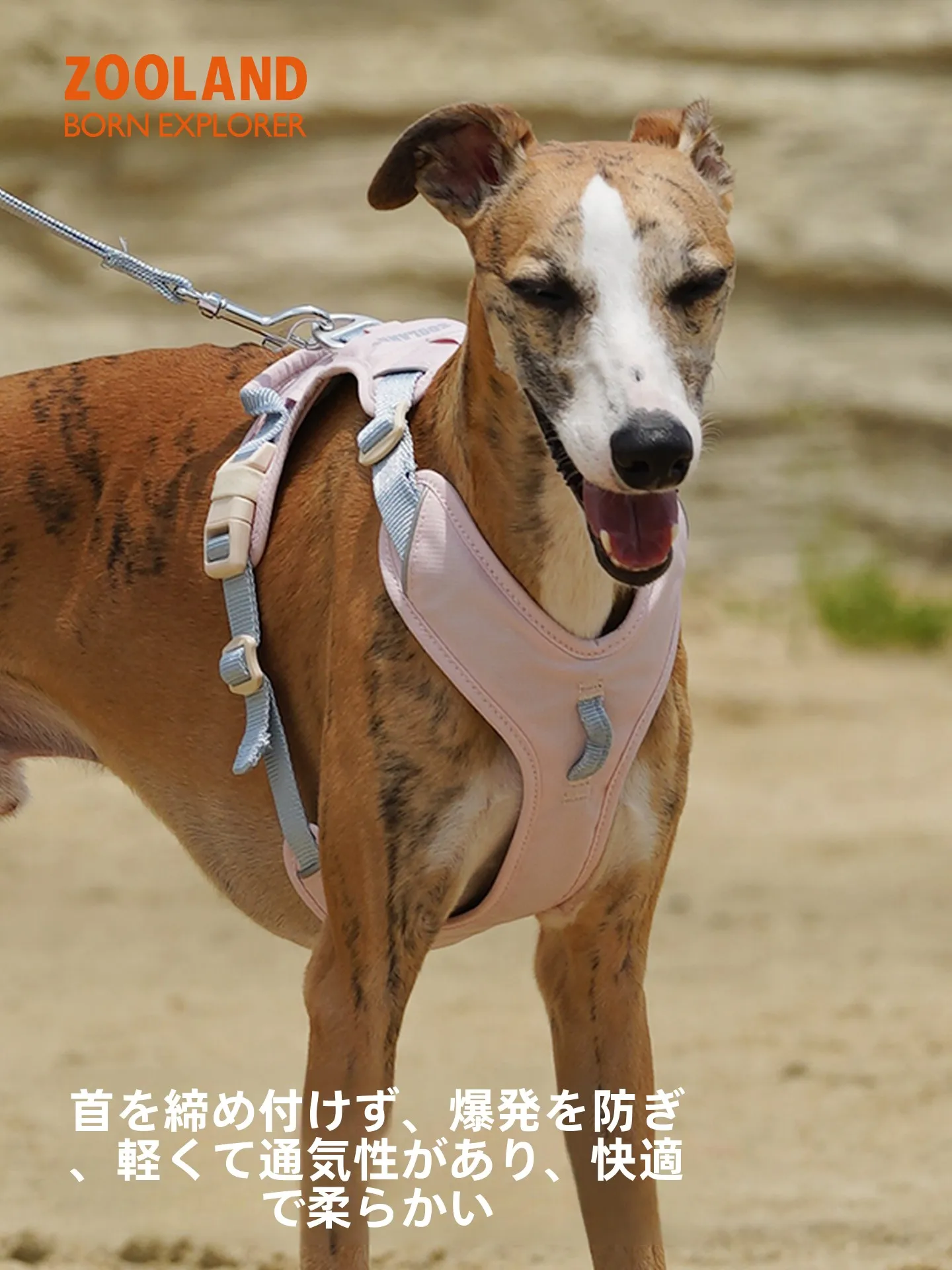 フル活用した節約生活で壁に飾る装飾画の選び方・活用法完全ガイド