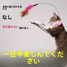 猫用おもちゃ【首にかけるフワフワ・自動動作・耐久性・羽根付き】（セットアップ対応）