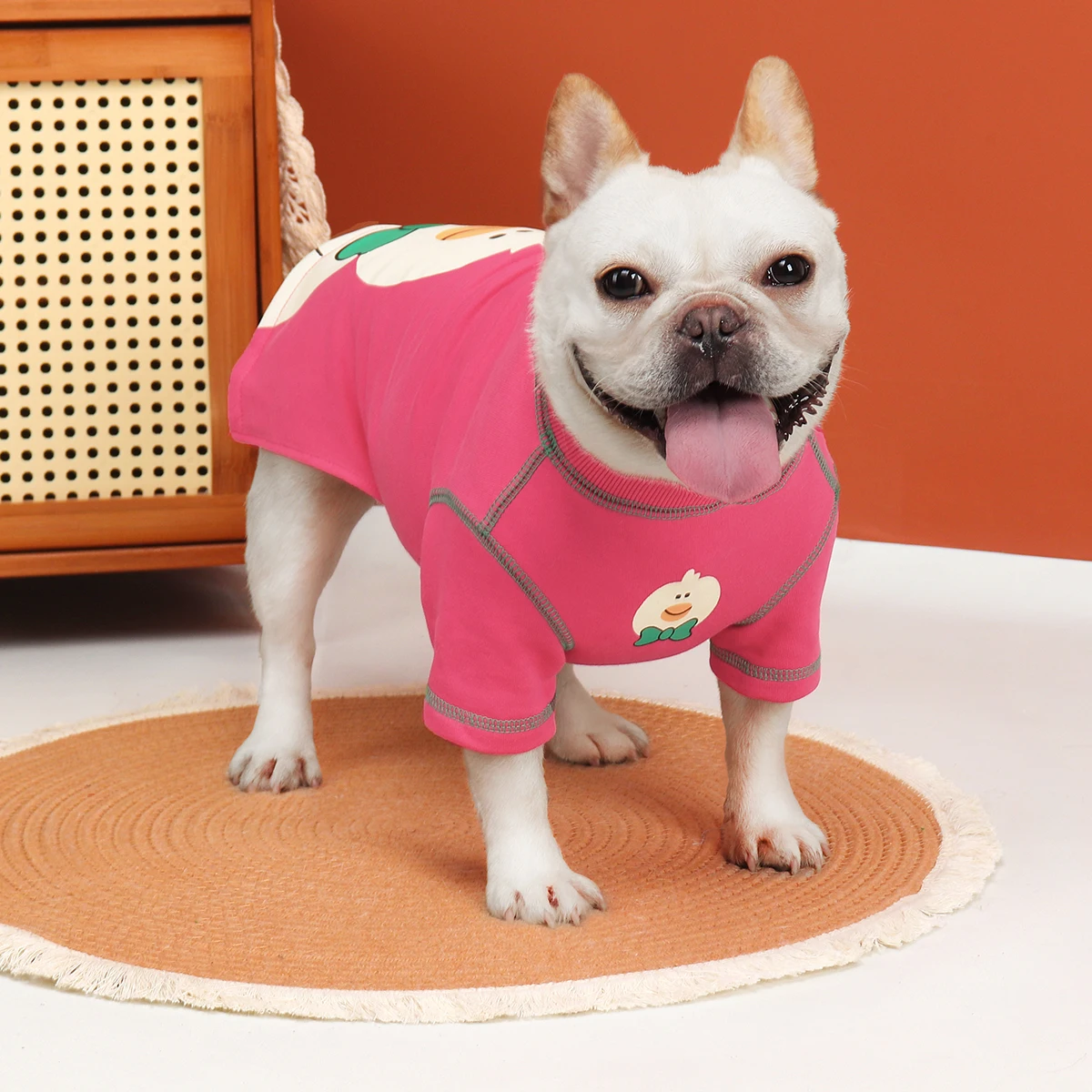 秋用デザイン犬服：小型犬向け薄手タイプの寒さ対策に最適な選択肢