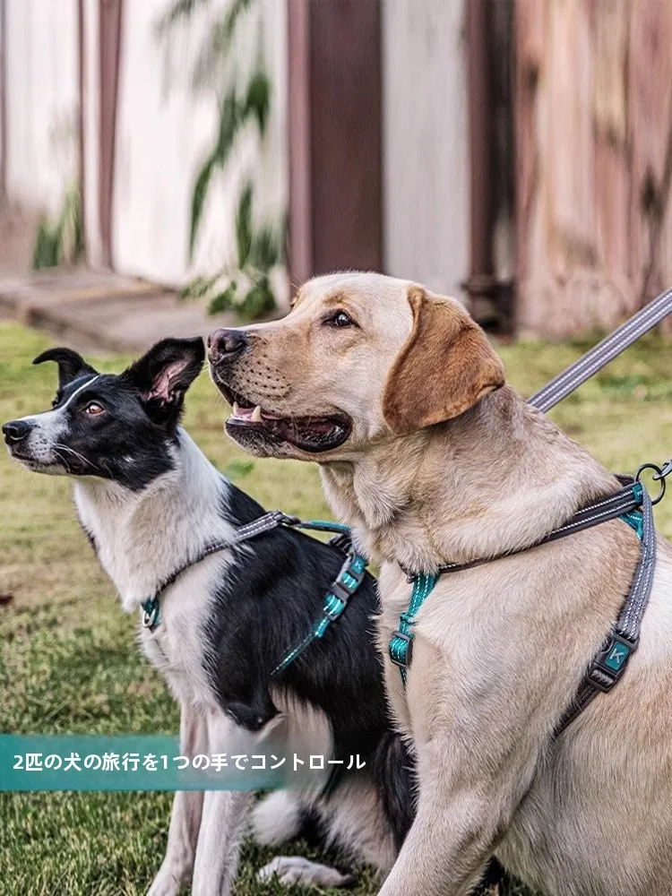 犬のリードハーネスを選ぶときに迷うのは、本当に「ファンタジー」か「ライフ」か？