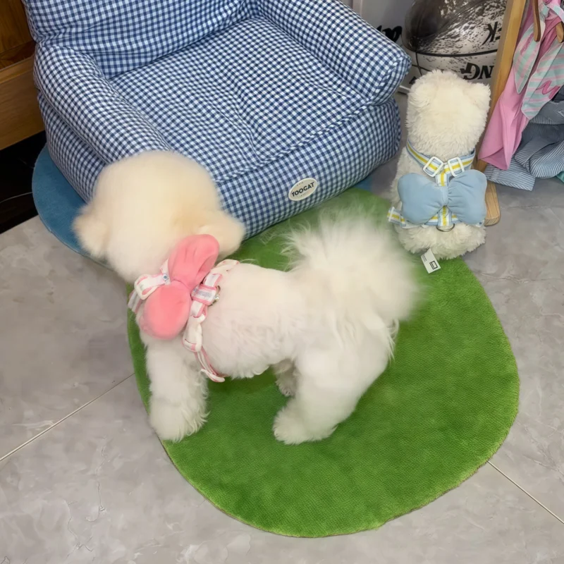 小型犬用ハーネス付きリード【脱走防止・猫用・お出かけ用】