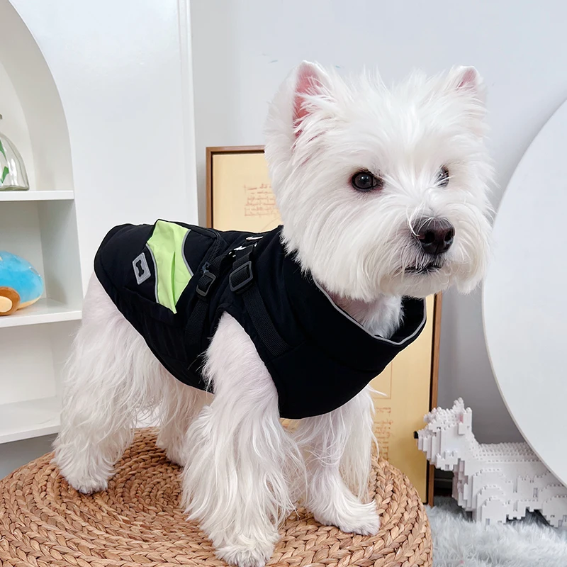 犬のお散歩グッズをコスパ良く揃える方法 - 保温コットンアウターのコストパフォーマンスと機能解説