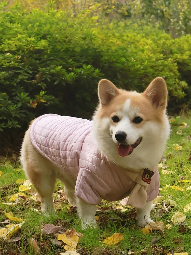 犬用秋冬棉製ジャケット：中型犬向けの保温・通気性バランスを実証