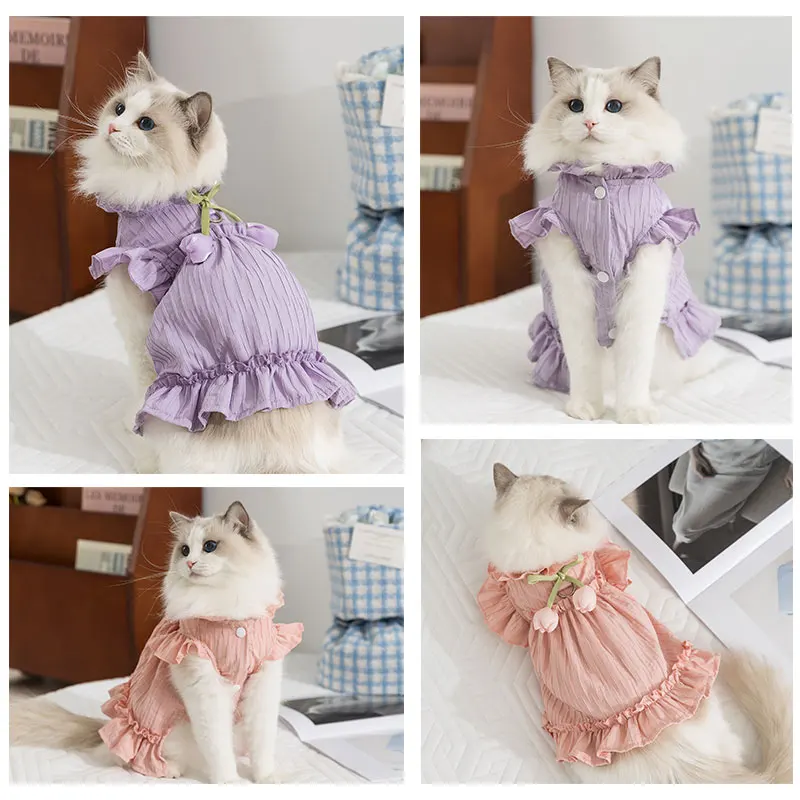 猫dollとは何か？実際の使い方や選び方を解説する、今人気のペット服の真実