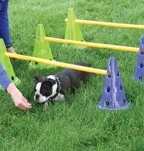 犬用障害物トレーニングセット【S字型・腰下を通る・リハビリ用】
