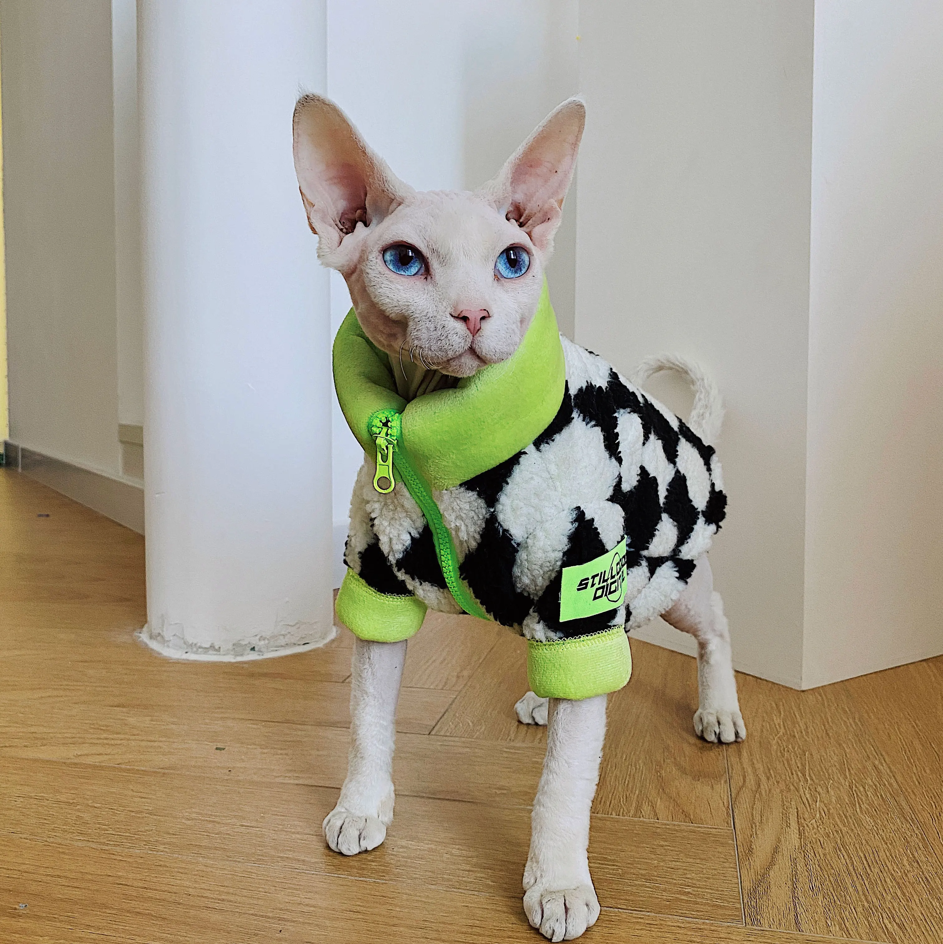 無毛猫用冬用ウェア：加絨・羊羔毛で極限低温でも快適な保暖性能