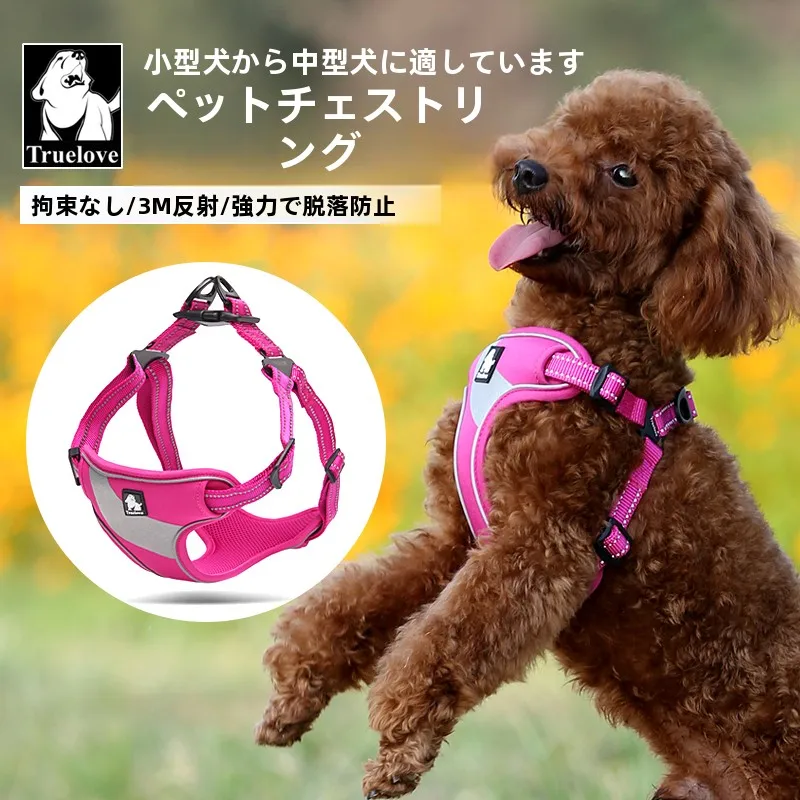 犬のお散歩グッズをコスパ良く揃える方法 | 調整可能なハーネスのコストパフォーマンスと設計原理