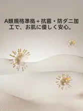 LUOLAI 全棉素材のベッドカバー【抗菌・水洗い可・厚手仕様】