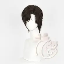 コスプレ用ウィッグ【深棕色・分け目あり・同色の素材・ネット付き】
